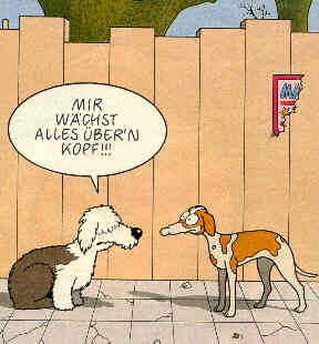 Tetsche: Mir w�chst alles �ber'n Kopf