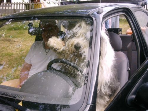 Admiral von Schneider