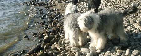 Angelo und Annie nach der Ausstellung am Bodensee