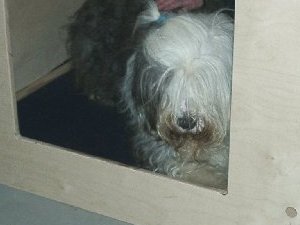 Inspektion der Wurfkiste