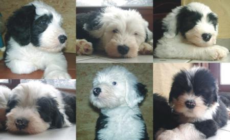 Zum Vergr��ern anklicken