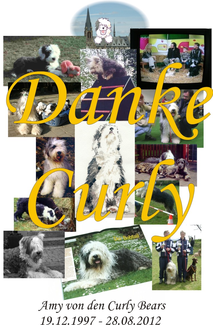 Amy von den Curly Bears