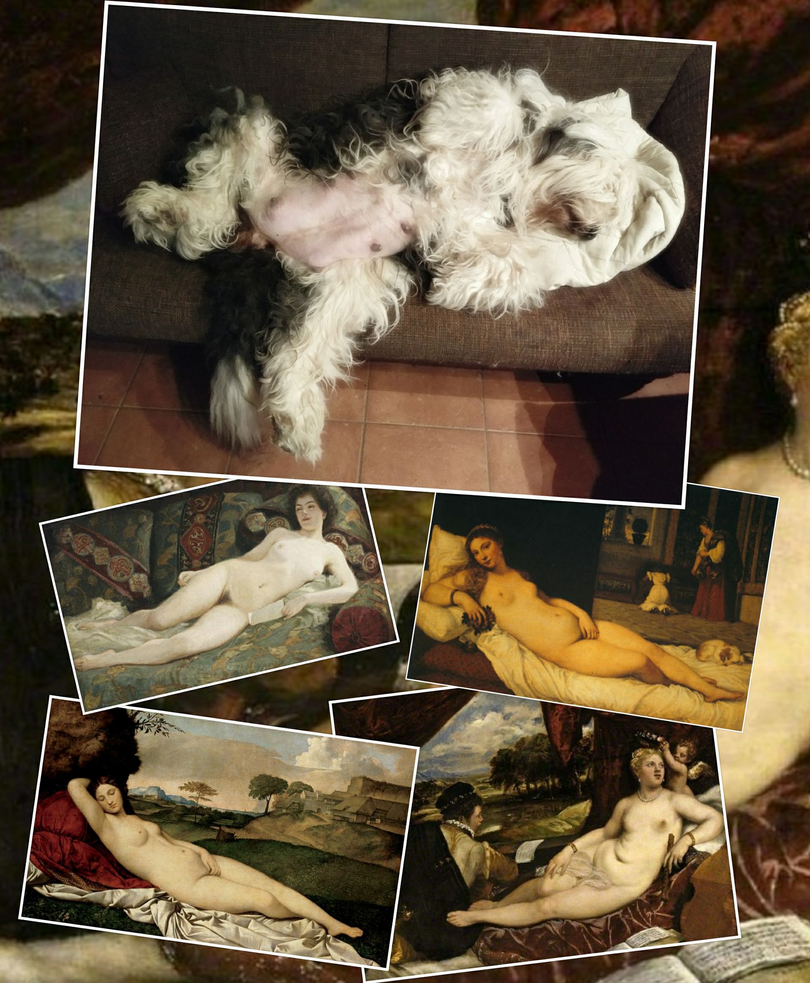 Liegende Venus - Alte und neue Meister